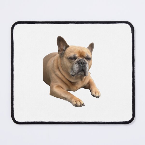 Item preview, Funny playing dog, puppy, pet, friend, animal designed and sold by JrtLeon.