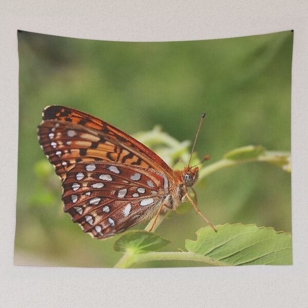 Item preview, An orange-colored butterfly designed and sold by Production Art Manon Meilleur.