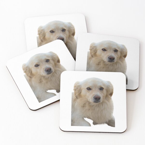 Item preview, Funny playing dog, puppy, pet, friend, animal designed and sold by JrtLeon.