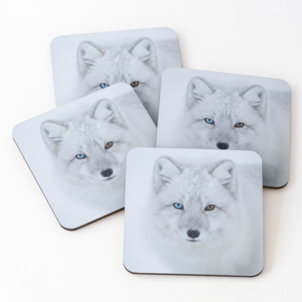 Item preview, Close-up of an Arctic Fox with Heterochromia in Snow designed and sold by homydesign.