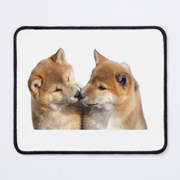 Item preview, Funny playing dog, puppy, pet, friend, animal designed and sold by JrtLeon.