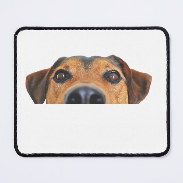 Item preview, Funny playing dog, puppy, pet, friend, animal designed and sold by JrtLeon.