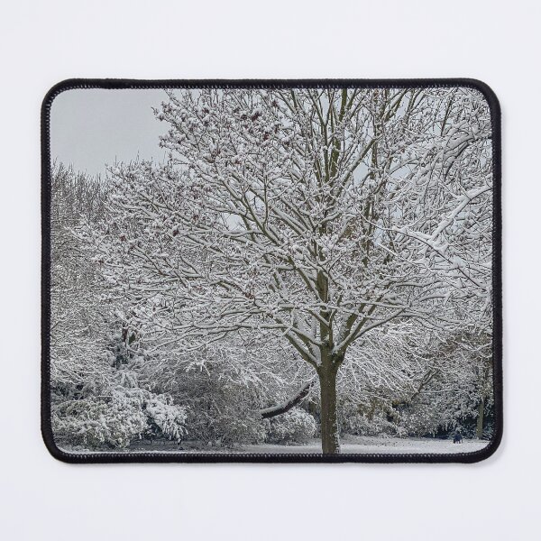 Item preview, Lone Tree in a Quiet Park after Fresh Winter Snow designed and sold by Greysline.