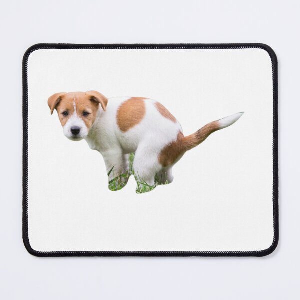 Item preview, Funny playing dog, puppy, pet, friend, animal designed and sold by JrtLeon.