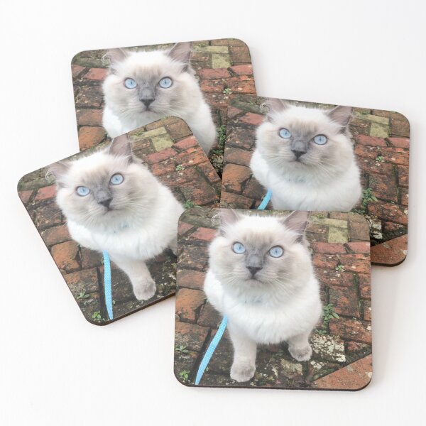Item preview, Cosmo the ragdoll  designed and sold by HuntsmithMerch.