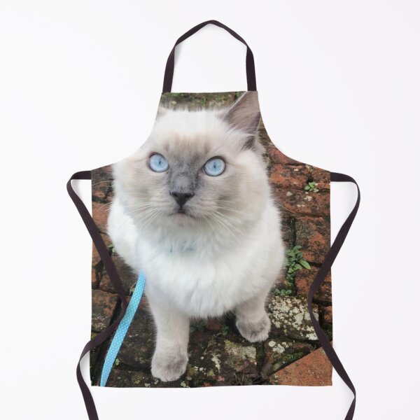 Item preview, Cosmo the ragdoll designed and sold by HuntsmithMerch.