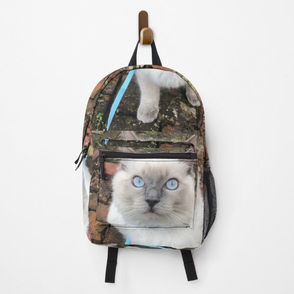 Item preview, Cosmo the ragdoll designed and sold by HuntsmithMerch.