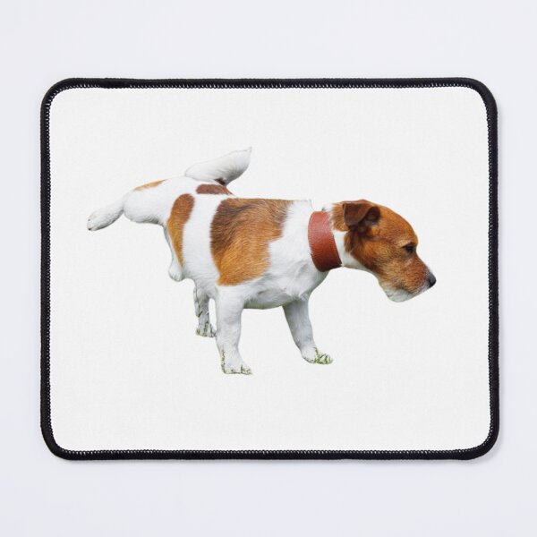 Item preview, Funny playing dog, puppy, pet, friend, animal designed and sold by JrtLeon.