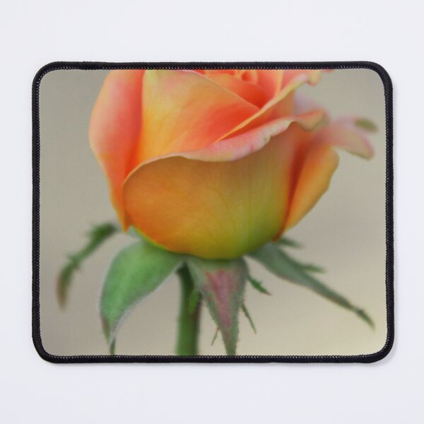 Item preview, A Rose designed and sold by JEZ22.