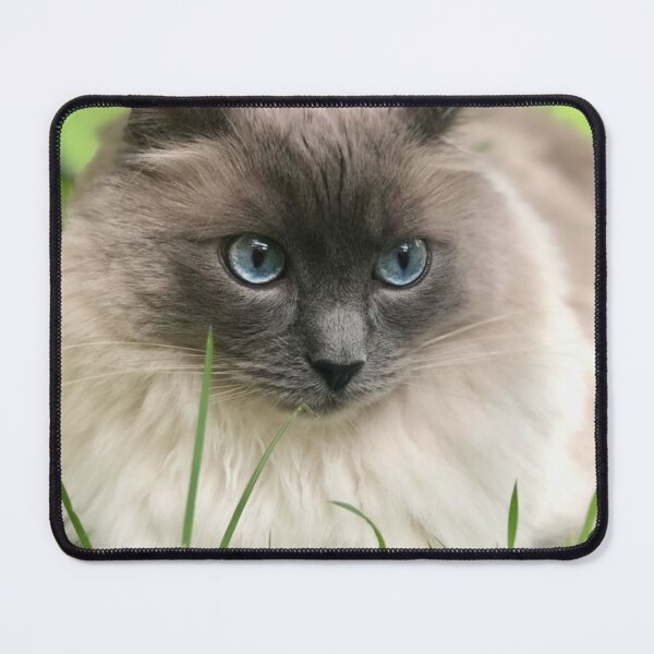 Item preview, Real cosmo  designed and sold by HuntsmithMerch.