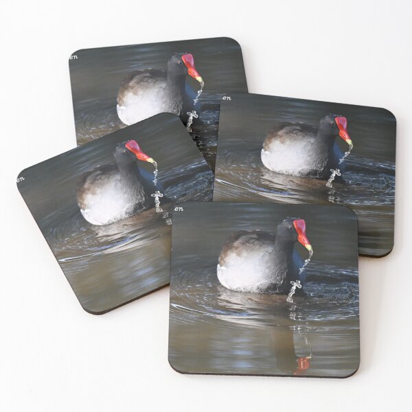 Item preview, Runny beak designed and sold by Glennphotos.