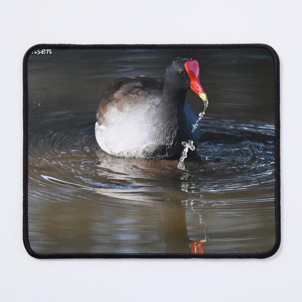 Item preview, Runny beak designed and sold by Glennphotos.