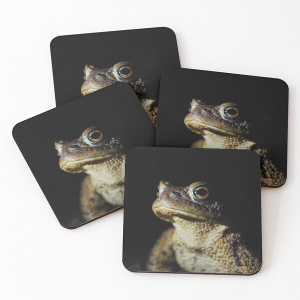 Item preview, Proud Frog designed and sold by ciaradonnelly.