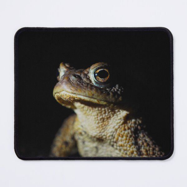 Item preview, Proud Frog designed and sold by ciaradonnelly.