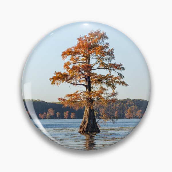 Item preview, Single Bald Cypress with Reflection designed and sold by ldsouza101.
