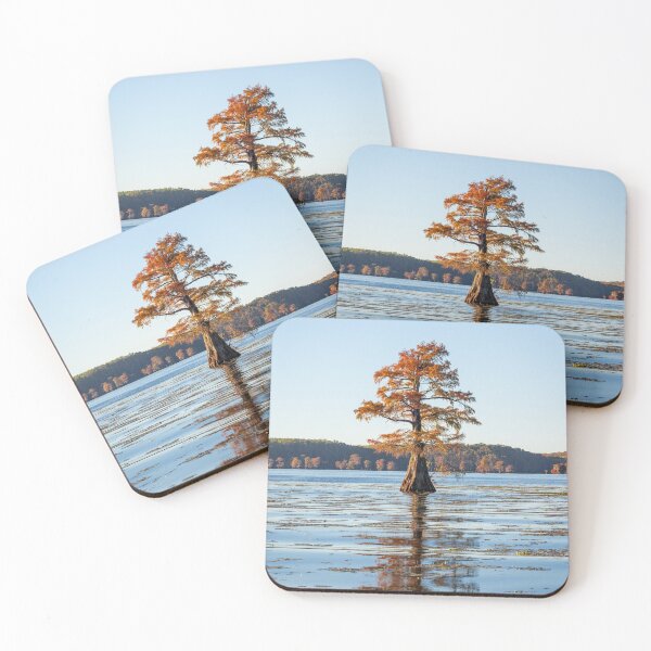 Item preview, Single Bald Cypress with Reflection designed and sold by ldsouza101.