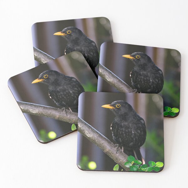 Item preview, Blackbird designed and sold by Tom McPherson Photography.