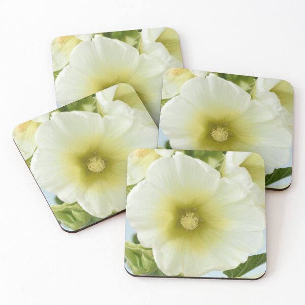 Item preview, Alcea rosea  'Halo White'  Hollyhock  Halo Series designed and sold by Chris Burrows.