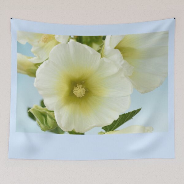 Item preview, Alcea rosea  'Halo White'  Hollyhock  Halo Series designed and sold by Chris Burrows.