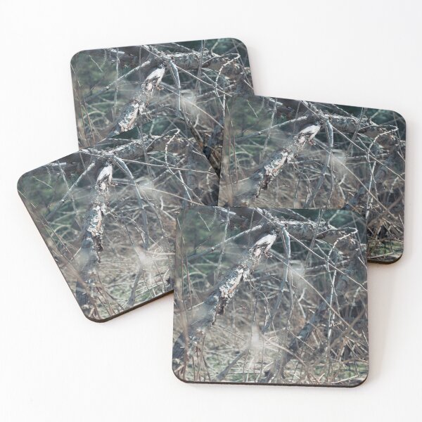 Item preview, withered designed and sold by 5letters.