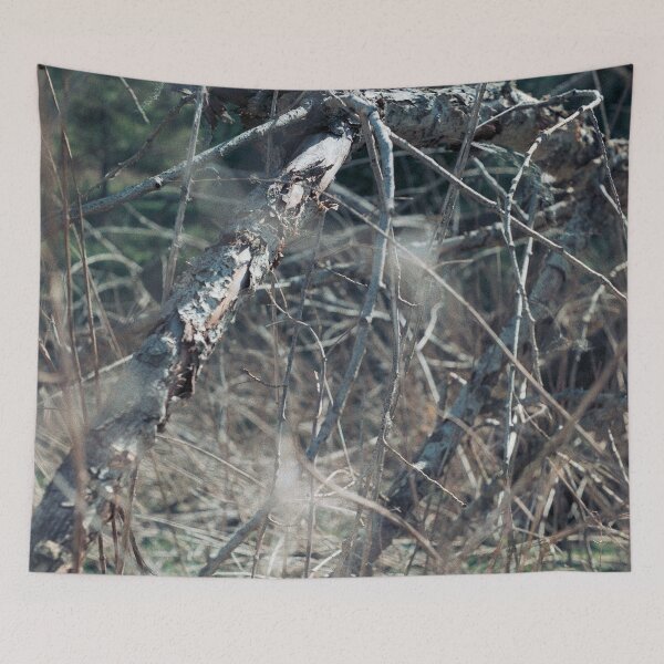 Item preview, withered designed and sold by 5letters.