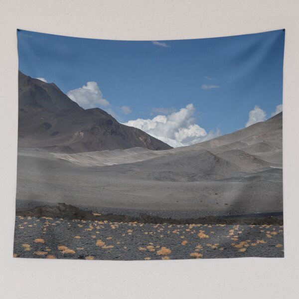 Item preview, Landscapes of Argentina, Antofagasta de la Sierra designed and sold by maylizbeth.