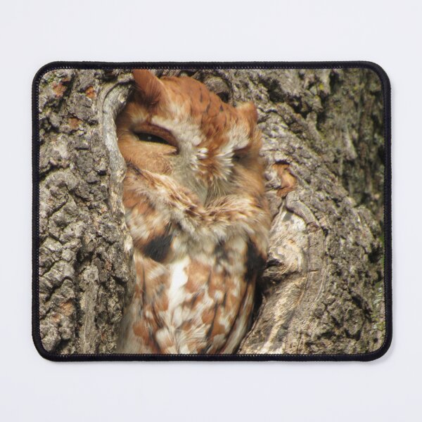 Item preview, Sleepy Red Screech designed and sold by Kerri Ann McClellan.