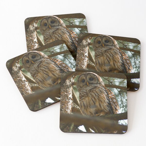 Item preview, I See You designed and sold by Kerri Ann McClellan.