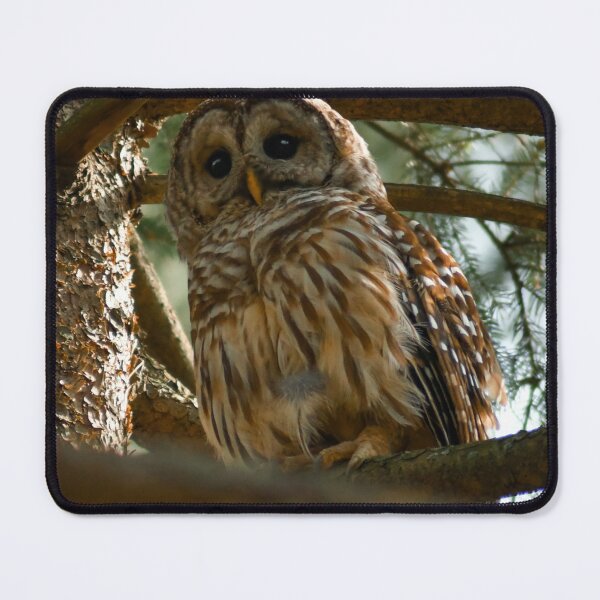 Item preview, I See You designed and sold by Kerri Ann McClellan.