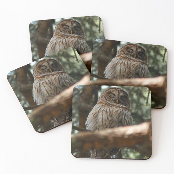 Item preview, Siesta designed and sold by Kerri Ann McClellan.