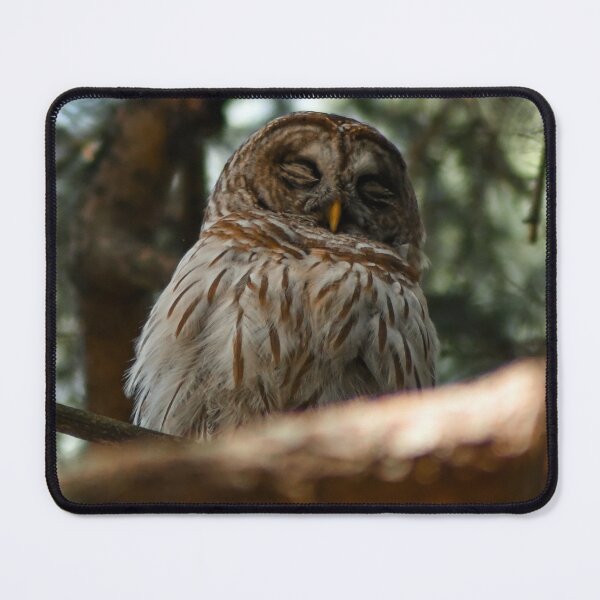 Item preview, Siesta designed and sold by Kerri Ann McClellan.