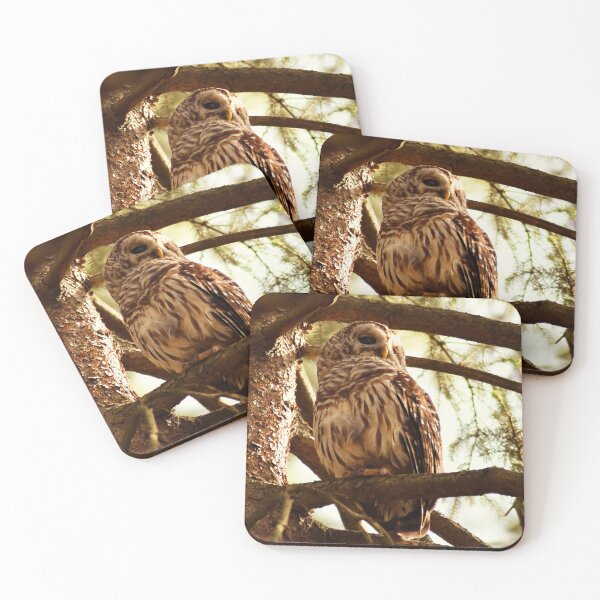 Item preview, What's That? designed and sold by Kerri Ann McClellan.