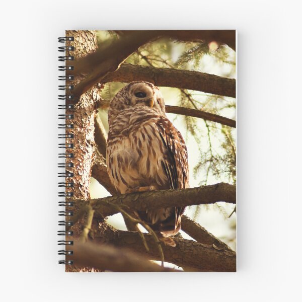 Item preview, What's That? designed and sold by Kerri Ann McClellan.