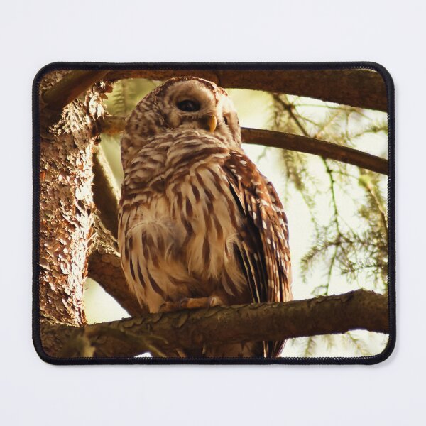 Item preview, What's That? designed and sold by Kerri Ann McClellan.