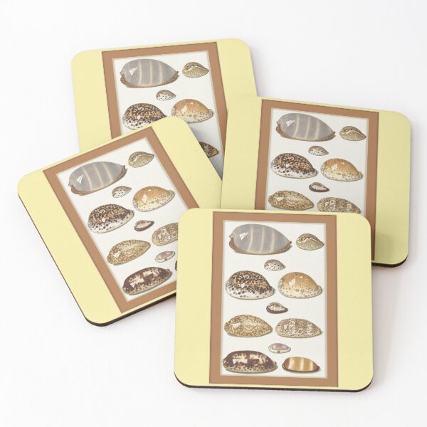 Item preview, Johann Gustav Hoch:  Cowrie Shells designed and sold by Tridentulus.
