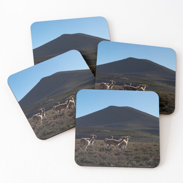 Item preview, Landscapes of Argentina, Antofagasta de la Sierra, Catamarca designed and sold by maylizbeth.