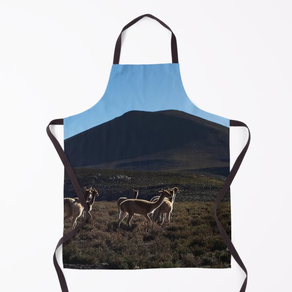 Item preview, Landscapes of Argentina, Antofagasta de la Sierra, Catamarca designed and sold by maylizbeth.