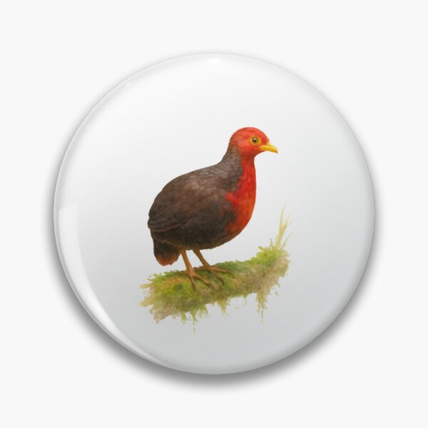 Item preview, Crimson-headed Partridge (Haematortyx sanguiniceps) designed and sold by HOMETOWN86.