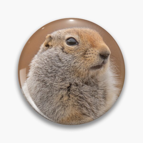 Item preview, Ground squirrel in fall designed and sold by GivernyKate.