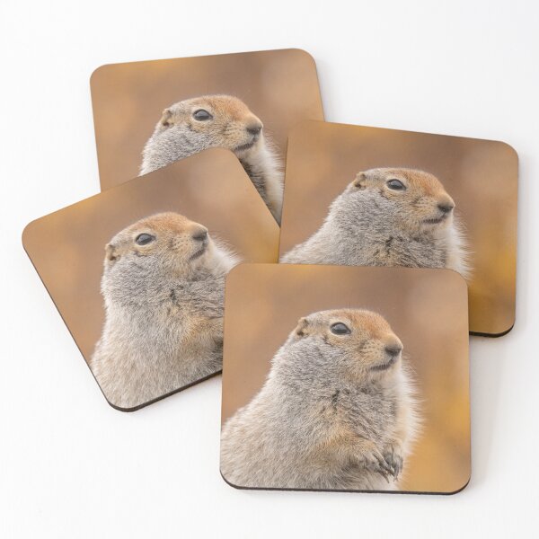 Item preview, Ground squirrel in fall designed and sold by GivernyKate.
