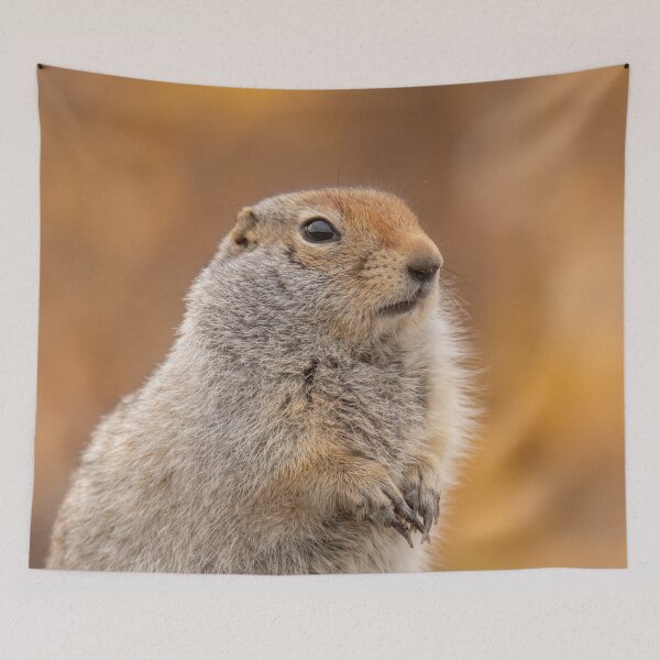 Item preview, Ground squirrel in fall designed and sold by GivernyKate.