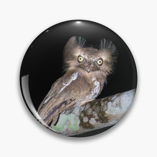 Item preview, Palawan Frogmouth designed and sold by GivernyKate.