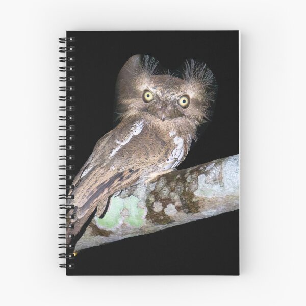 Item preview, Palawan Frogmouth designed and sold by GivernyKate.