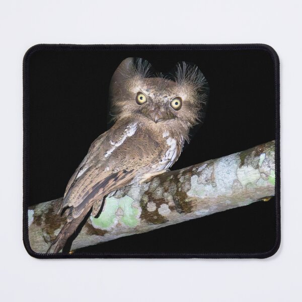 Item preview, Palawan Frogmouth designed and sold by GivernyKate.