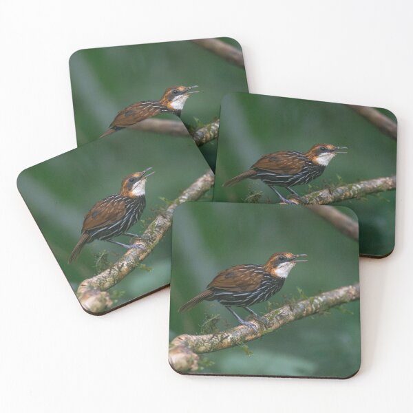 Item preview, Falcated Wren-Babble designed and sold by GivernyKate.