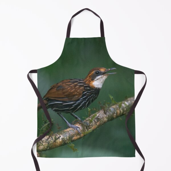 Item preview, Falcated Wren-Babble designed and sold by GivernyKate.