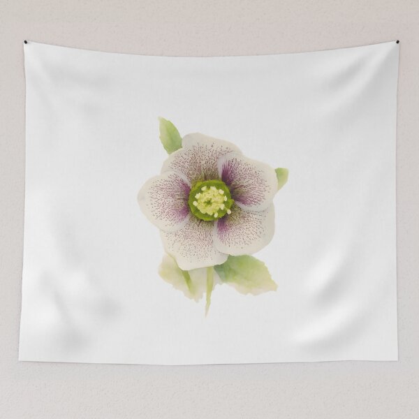 Item preview, Helleborus orientalis (Lenten Rose) designed and sold by HOMETOWN86.