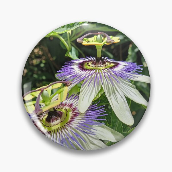 Item preview, Passionflower K2025 designed and sold by kaleidimo.