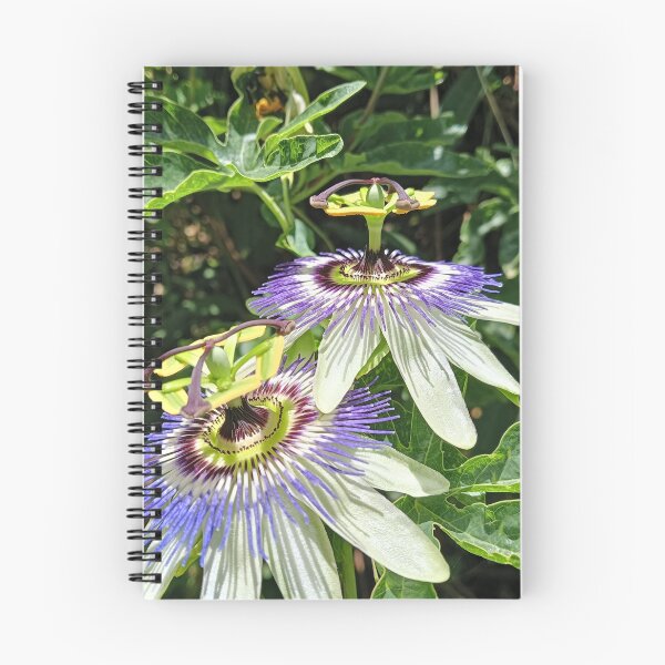 Item preview, Passionflower K2025 designed and sold by kaleidimo.