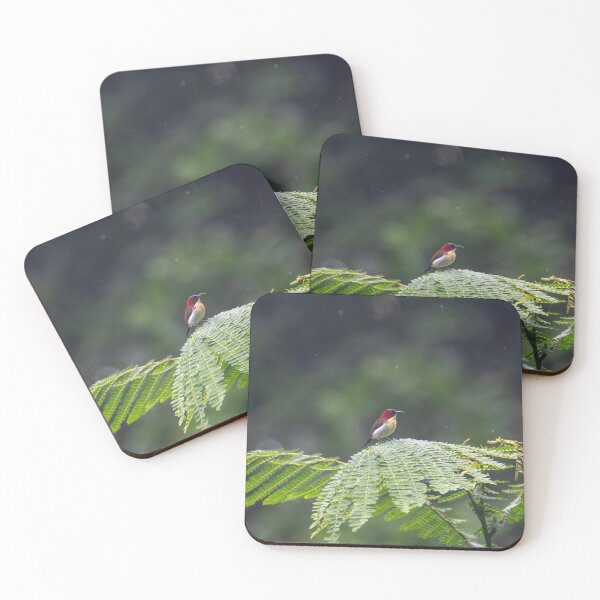 Item preview, Lovely sunbird in the rain designed and sold by GivernyKate.